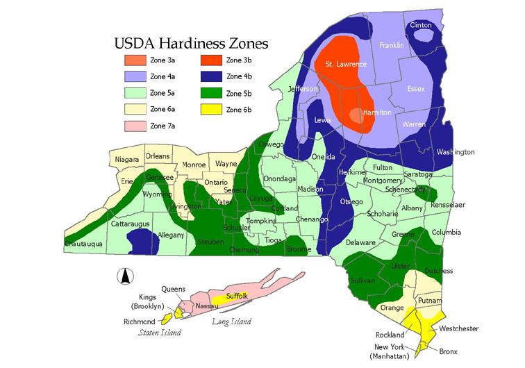 hardiness zone map. Cold Hardiness Zone Maps