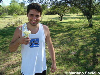 Mariano Saviello collecting Habranthus and Zephyranthes