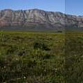 Elandsberg panorama (four photos pasted together), Michael Mace