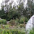 Harry's garden, Lee Poulsen