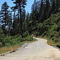 Side road off Highway 168, Michael Mace