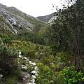 Waterfall path at Phillipskop, Michael Mace