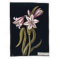 Crinum Zeylanicum: Asphodil Lilly, a paper collage 1778 © Trustees of the British Museum, Mary Delaney