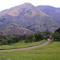 Figueroa Mountain, Mary Sue Ittner