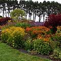 MCBG, perennial garden, Bob Rutemoeller