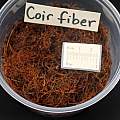 Coir fibers, M. Gastil-Buhl