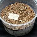 Vermiculite, M. Gastil-Buhl