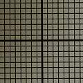 1 mm grid at 1:1 magnification, David Pilling
